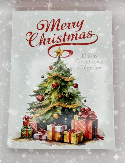 Advent Calendar 12 Pack